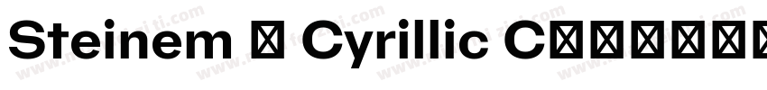 Steinem - Cyrillic C字体转换